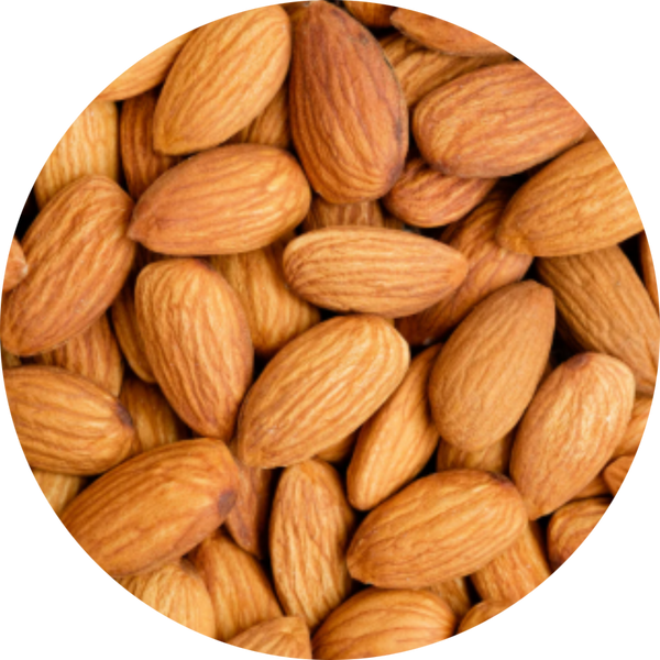 Sweet Almond Oil