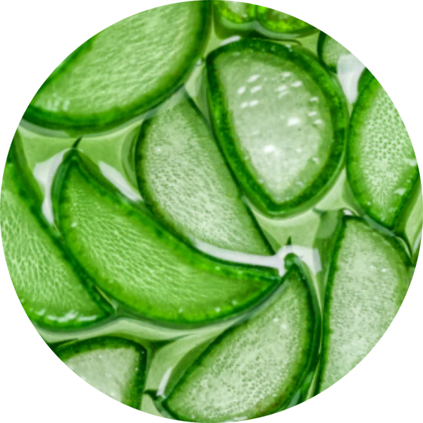 Aloe Extract